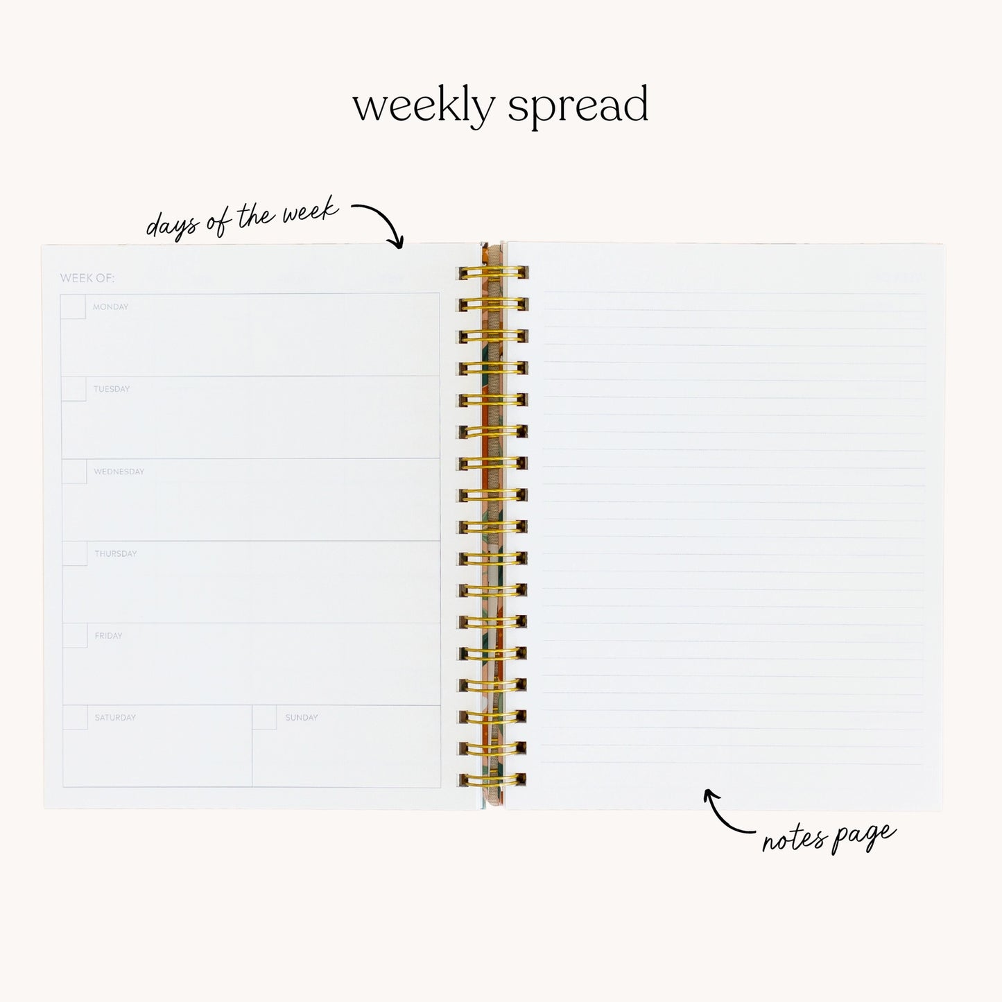 Undated Planner
